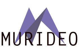 The Purple Pages - Murideo's Quarterly Newsletter