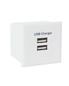 Dual USB Charger Module - White