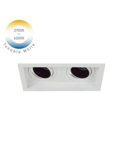 L&S DLD/ANDE2RAWB 36D27K-DTW Andes 2 Recessed Adjustable White 36d 27-65k With Black Baffle Complete With Dali Tunable White Driver